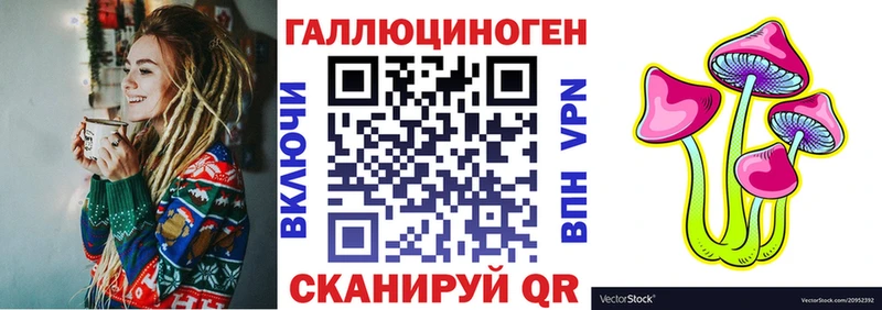 Псилоцибиновые грибы прущие грибы  Камень-на-Оби 