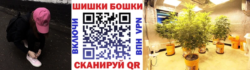 наркота  Камень-на-Оби  Бошки марихуана гибрид 
